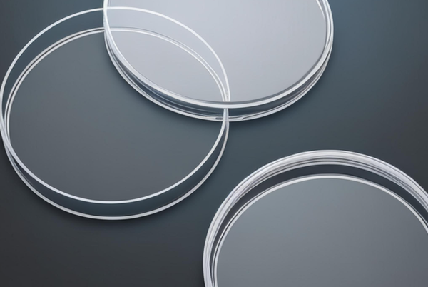 чашка Петри